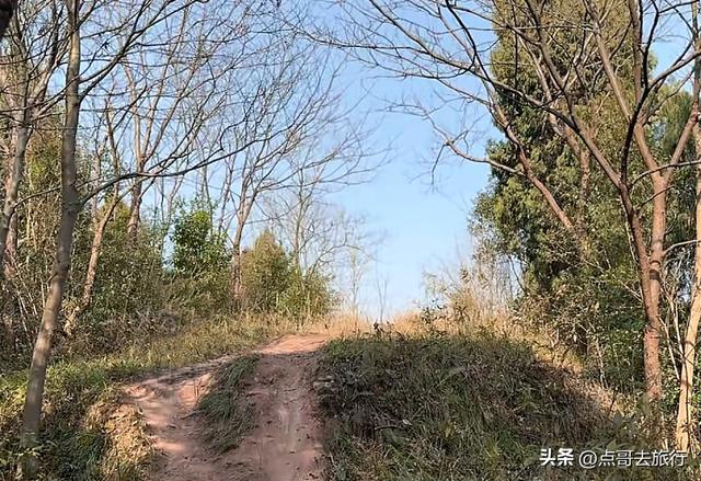 成都龙泉山爆红徒步路线，享受超级梭梭板，大人小孩都喜欢！