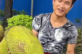 后续！广西18斤榴莲竟然只有8斤，老板被碰直接躺地上看汽车之家图片