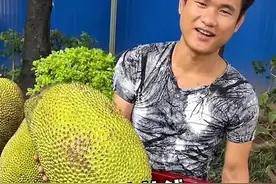 后续！广西18斤榴莲竟然只有8斤，老板被碰直接躺地上看汽车之家图片