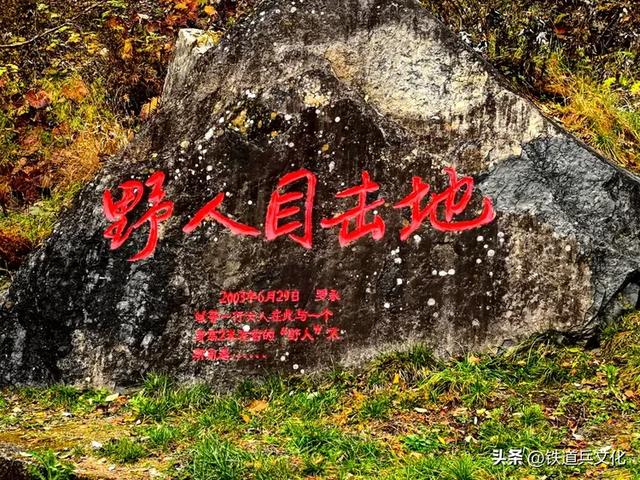 车过神农架【原创】作者：原铁十师陶玉和