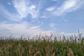 四月二十八不一般，老人说“做三事添安康”，是哪3事？答案来了图片