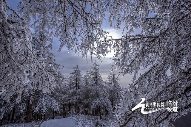 七里峪五龙壑现雾凇冰挂 绘就冬日梦幻景