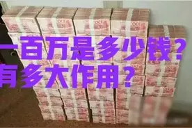 100万是多少钱？图片
