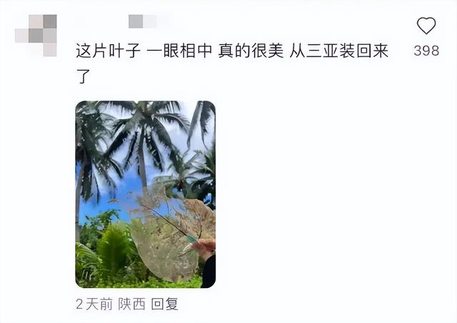 这可能是我买过的最离谱的特产：