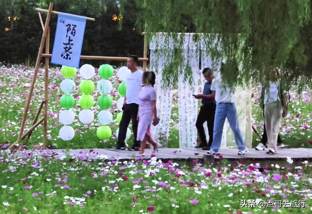 成都邛窑遗址公园，藏着格桑花海，壮观惊艳令人称奇，不要门票！