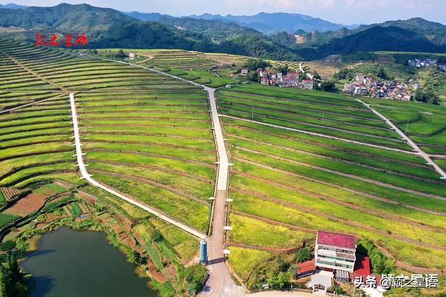 尖山梯田：胜过覆卮山与云和梯田，可成全国闻名的网红景观