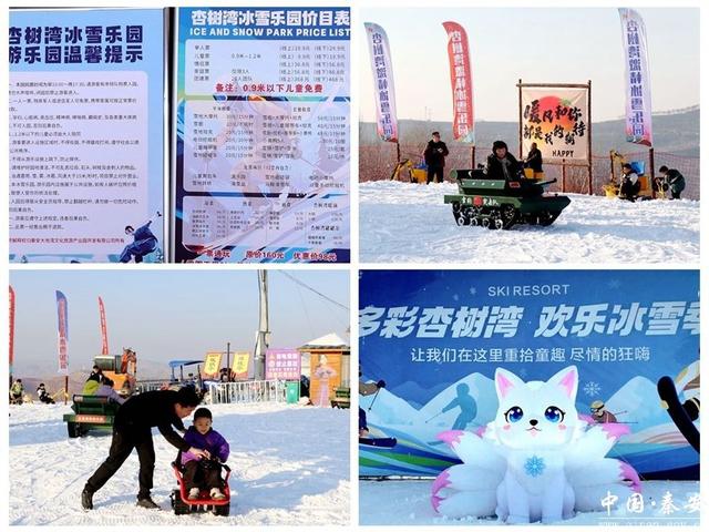 秦安：冰雪经济点燃冬日激情