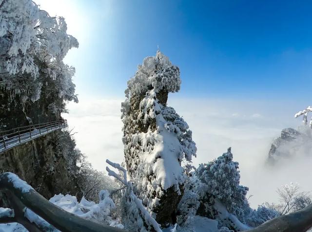 叮!龙头山秋日余额已不足!期待新一轮的冬雪到来~