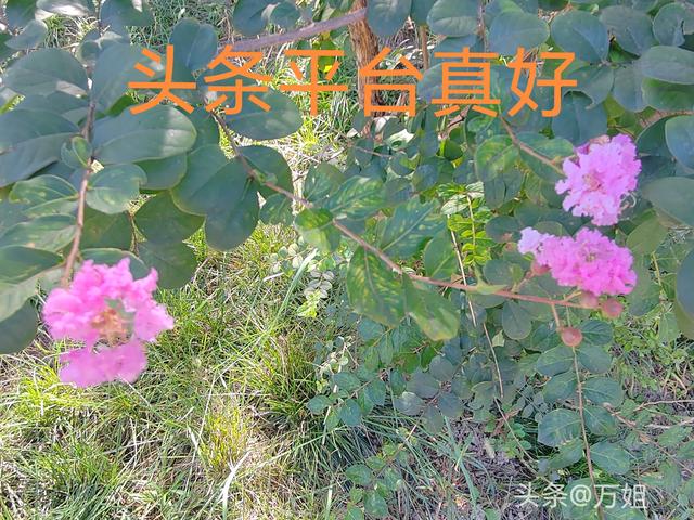 两性关系：女人说的“下次吧”！实际是这个意思，男人切记要懂得