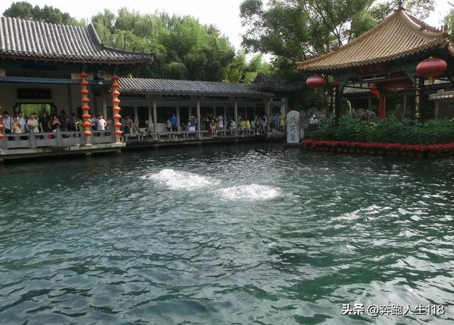 夏日炎炎，泉城戏水，不辞长作济南人