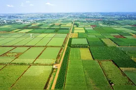 辩证法解读——稻盛和夫「经营十二条」图片