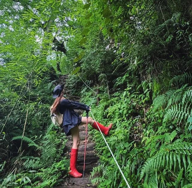 秋假免门票！抓住秋天的尾巴~来龙苍沟秋假赏秋领限定奖牌！