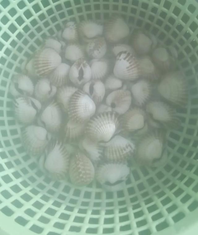 菠菜和花胶可以同吃吗 2025年菠菜可以和花胶一起吃吗