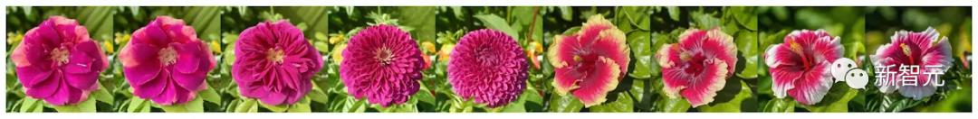 谷歌新作 Imagen 2 震撼发布,实测完胜 DALL·E 3 与 Midjourney! 谷歌新作 Imagen 2 震撼发布,实测完胜 DALL·E 3 与 Midjourney!