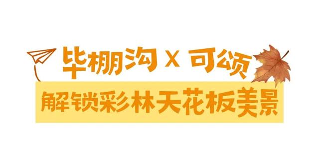 打卡彩林“天花板”！毕棚沟x可颂采风活动圆满结束！