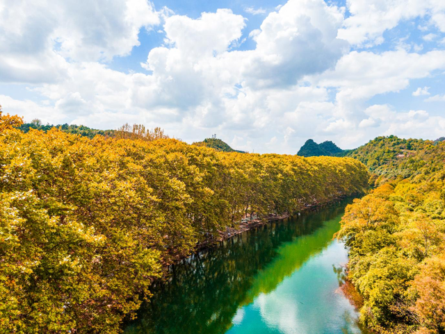错过又要等一年！走，抓住贵阳短暂的秋，来一场ParkWalk→