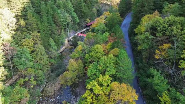 遇见金秋！来汉中，邂逅一场秋日山野浪漫之约！