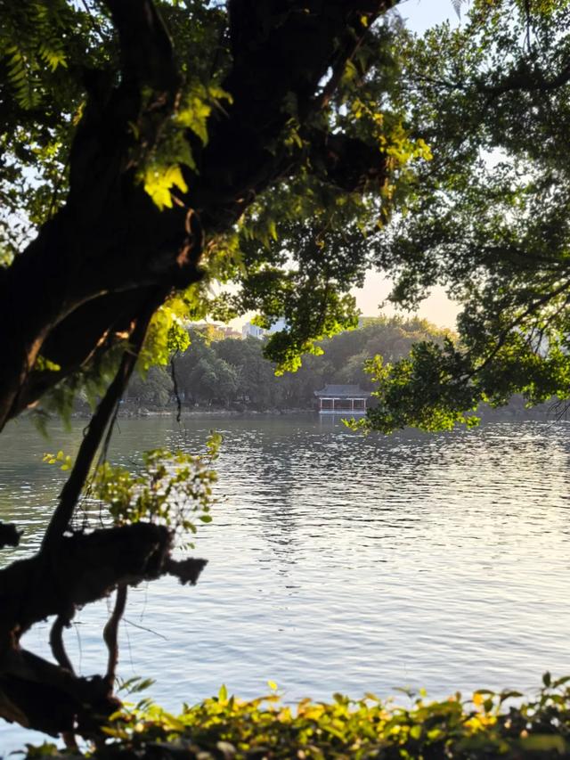 桂林:邂逅榕湖别样情!