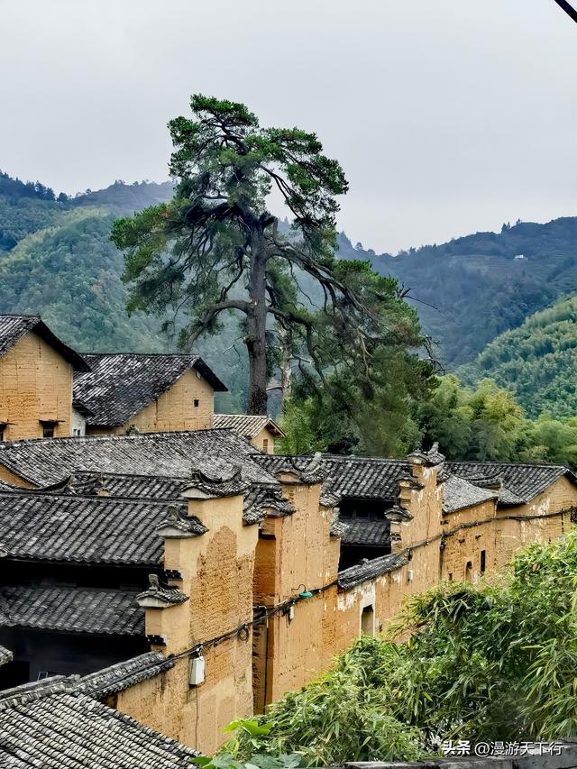 进山寻觅松阳的古村落，结果让我看到了与北方不一样的地方