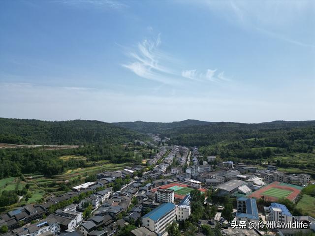 四川行(68)古蜀道——金牛道60公里徒步⑤普安到翠云廊沿途航拍
