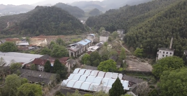 浙江大山里，竟藏一座废弃的“小香港”，如今人去楼空！