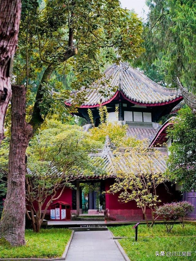 陈子昂读书台重游