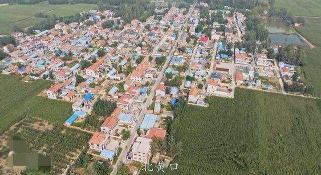 魅力曹县楼庄镇