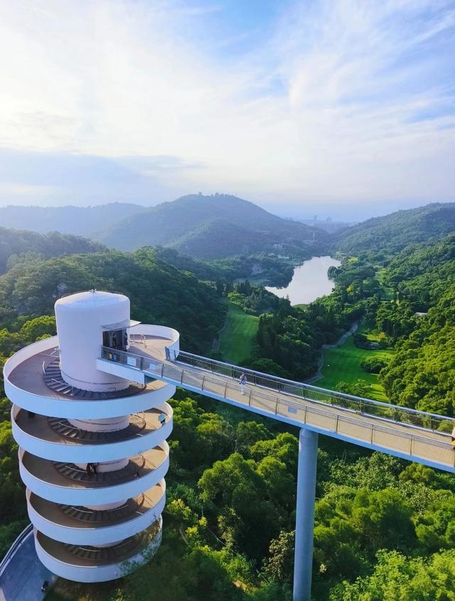 厦门岛内爬山精选，6大登高胜地全攻略，仙岳山、东坪山是好选择
