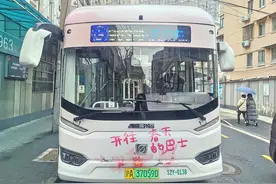 去顾村公园赏樱，可以坐这班“樱花直达车”！图片