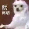 一景区指示牌将“China”写成“Ching”?网友:太离谱了......