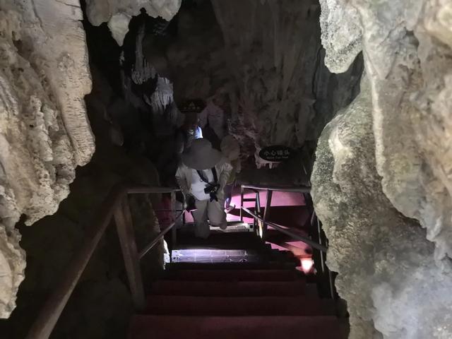 带小朋友去贵州茂兰，连环探洞加漏斗原始森林徒步二日游全攻略！