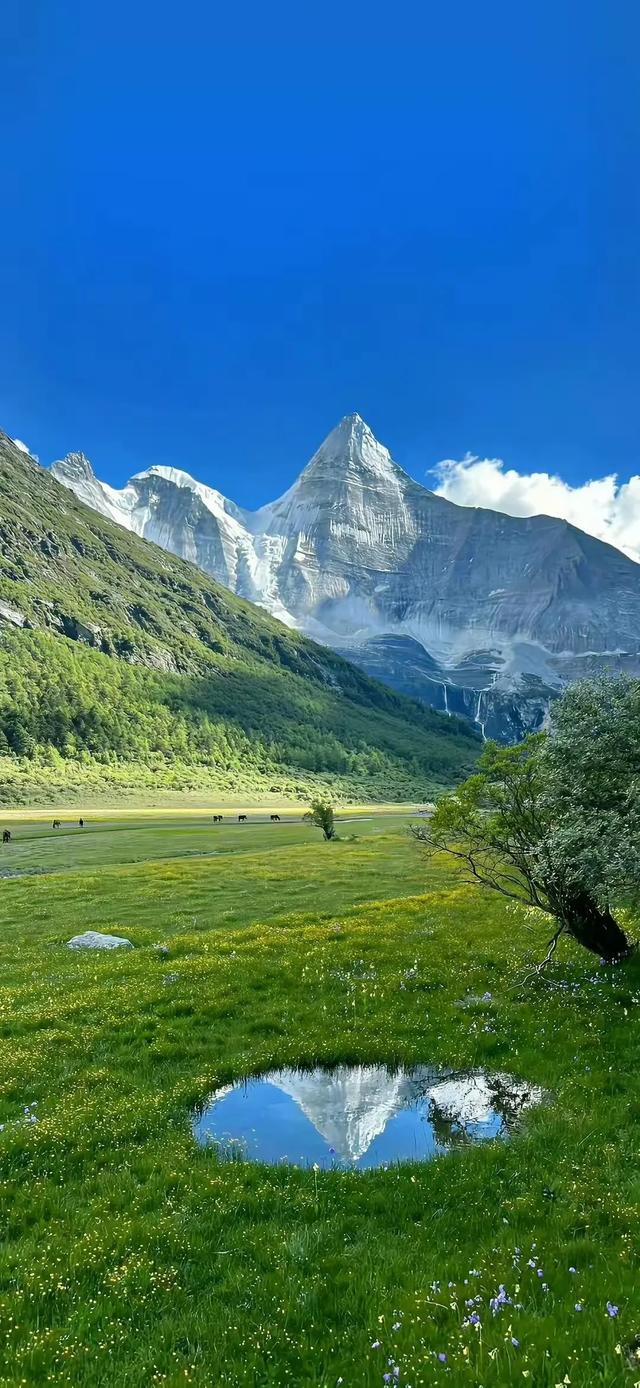 自然风景壁纸