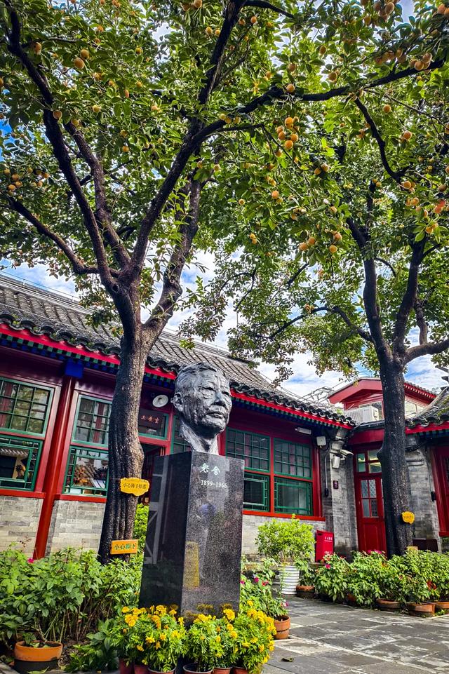 “丹柿小院”的柿子红了！来这里赴一场文学之约~