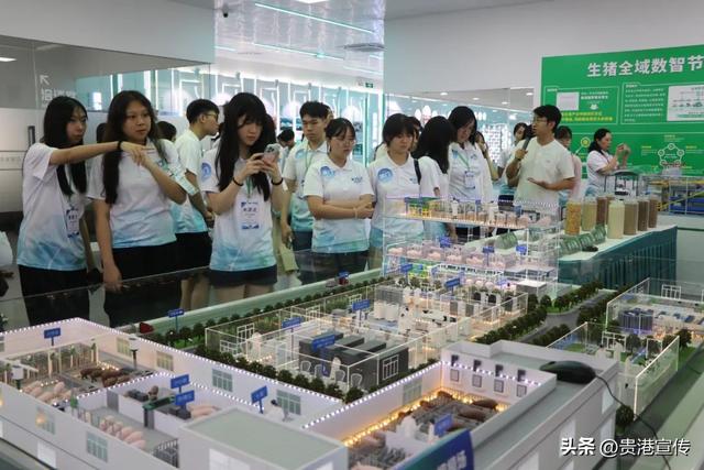 他们去了贵港这些地方→