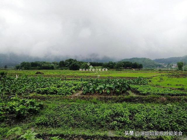 游客在清远连州遇雨：误打误撞进千年古村，南汉“宰相”后人聚居