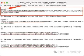 magnet/ed2k是什么？怎么用？图片