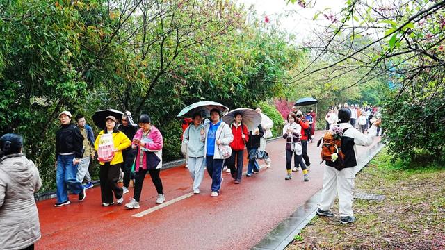 桂林:20000名徒步爱好者漫步美丽的桃花江畔!