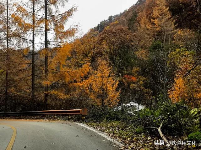 车过神农架【原创】作者：原铁十师陶玉和