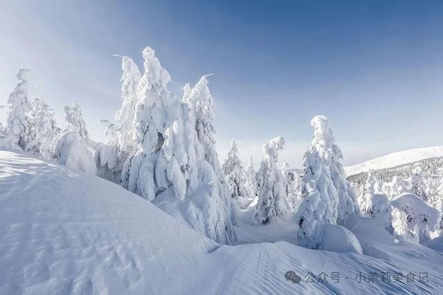 今年“数九”时间表来了？哪天入九？春节在几九？过年还冷吗，早了解