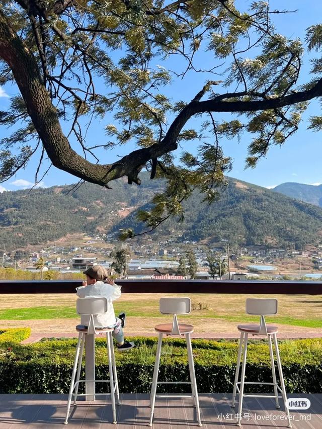 比大理浪漫！比昆明更近！高铁直达阳光小城，2万株蓝花楹美疯！观海登山，美食吃到爽！