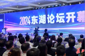 湖北数字经济发展综合实力位列全国第七，较去年上升1位图片