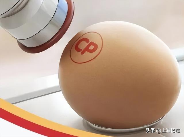 来复兴岛当一天快乐“岛民”