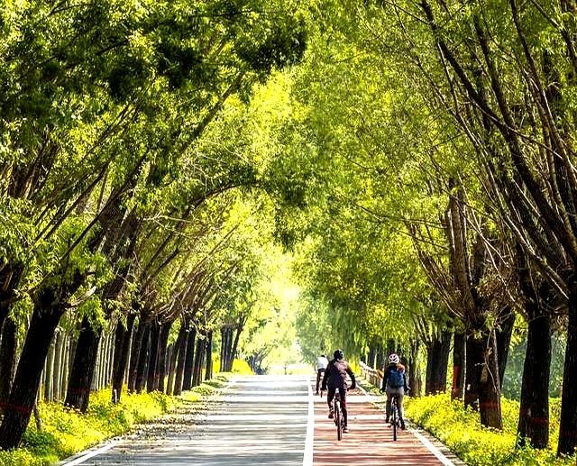 骑行别瞎飙！适合你的速度，藏在3个身体信号里，90%的人骑错了