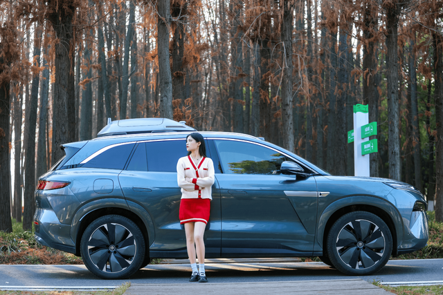 冬日寻一处静谧：与唐L同游棕树小道纪实