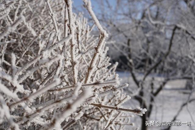 “上午小寒是暖冬，下午小寒冻死牛”，今年小寒几点？有啥说法？