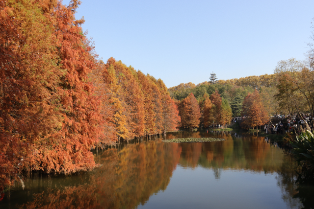超出片！江阴这些地方“红了”！