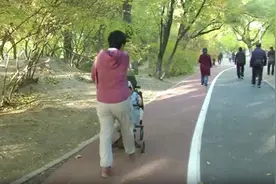 妈妈推着几个月大婴途中遭三条流浪狗围咬，右小腿被咬破，所幸婴儿没事图片