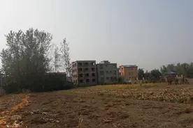 农民注意了！新一轮的严查行动已经全面部署！再次点名“一肩挑”图片