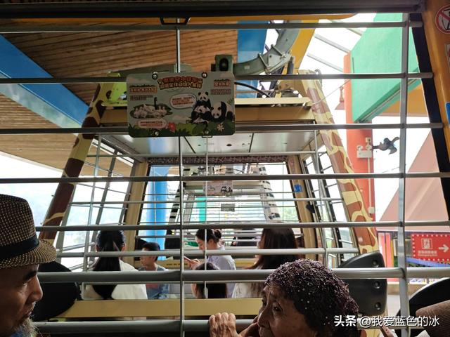 参观广州长隆野生动物园，全程感觉眼累手累腿不累