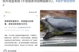 有人悬赏十万寻找“全国仅剩1只”的斑鳖，发帖者回应并证实图片